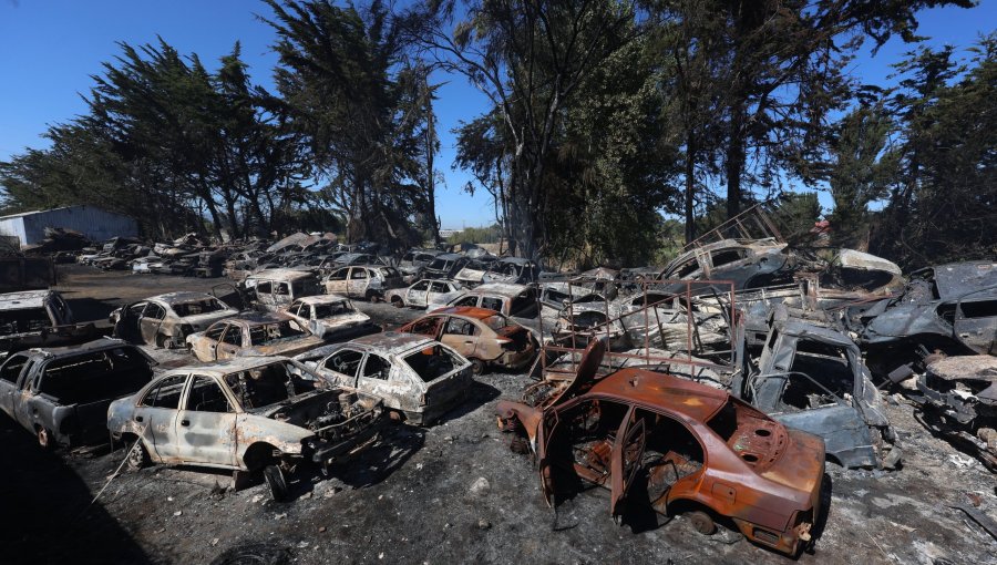 Alcalde de San Pedro de la Paz insiste en intencionalidad de incendio de corral y asegura que presentará una querella