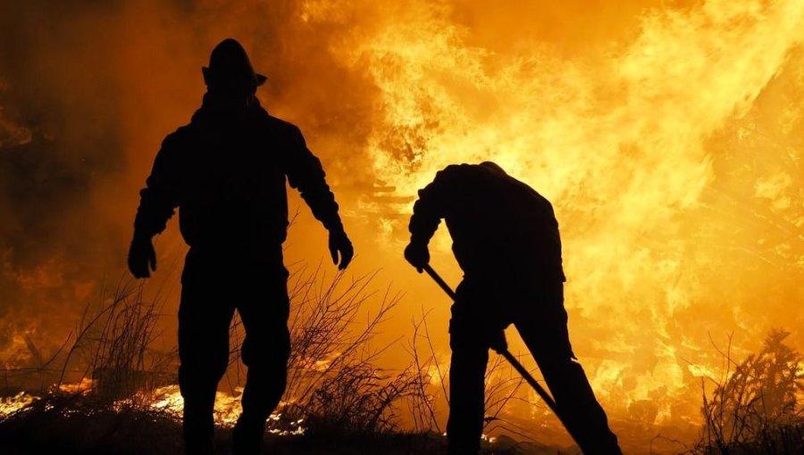 Cancillerías de Chile y Argentina iniciaron contactos para combatir incendios forestales