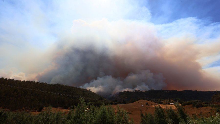 Gigantesco incendio de la Patagonia argentina alcanzó la Región de los Lagos