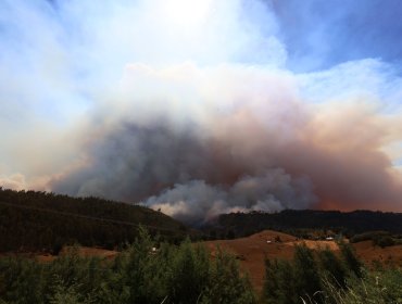 Gigantesco incendio de la Patagonia argentina alcanzó la Región de los Lagos