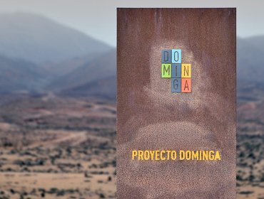 Gobierno apelará a resolución del Primer Tribunal Ambiental por proyecto Dominga: "Hay elementos que llaman la atención"