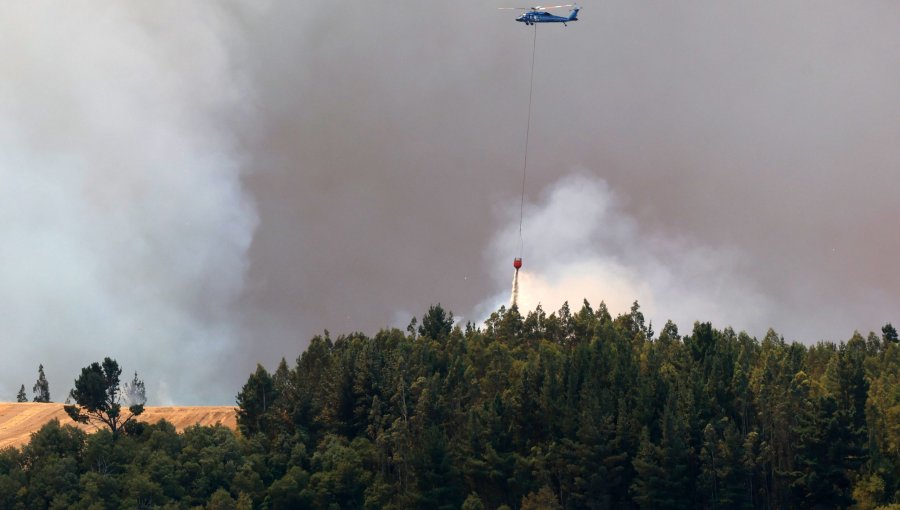 Conaf confirma nulo avance de incendio desde Argentina y solo afecta a 0,2 hectáreas del territorio nacional