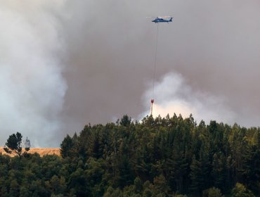 Conaf confirma nulo avance de incendio desde Argentina y solo afecta a 0,2 hectáreas del territorio nacional