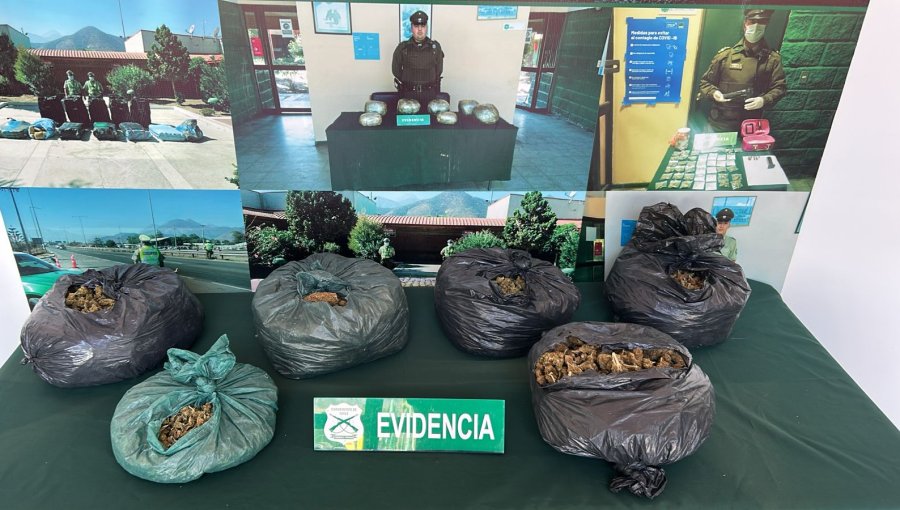 Control vehicular permite detectar 5 kilos de marihuana al interior de un auto en Nogales