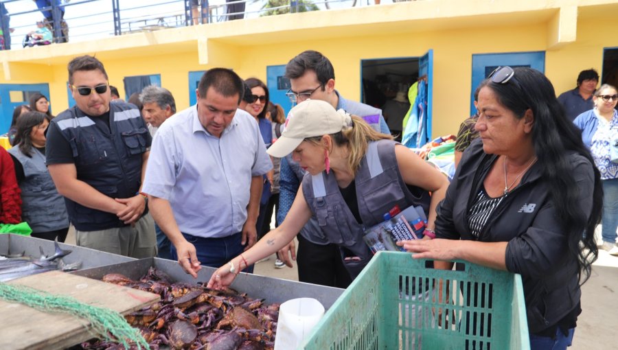 Refuerzan llamado a no comprar alimentos en el comercio informal ante altas cifras de afectaciones gastrointestinales en la V Región