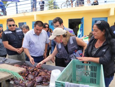 Refuerzan llamado a no comprar alimentos en el comercio informal ante altas cifras de afectaciones gastrointestinales en la V Región