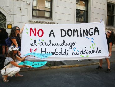 Dirección Ejecutiva del Servicio de Evaluación Ambiental apelará a fallo por proyecto Dominga