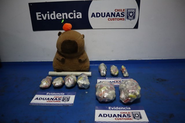 Detienen a mujer con 185 ovoides de pasta base en Avanzada Aduanera de El Loa: ocultaba la droga en un peluche