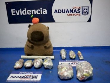 Joven boliviana fue sorprendida en Iquique transportando 185 ovoides de pasta base ocultos en un peluche de capibara