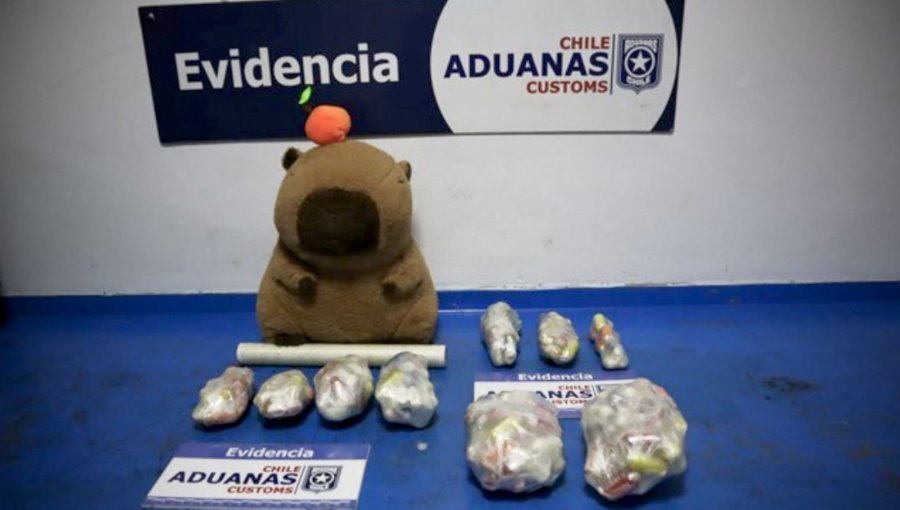 Joven boliviana fue sorprendida en Iquique transportando 185 ovoides de pasta base ocultos en un peluche de capibara