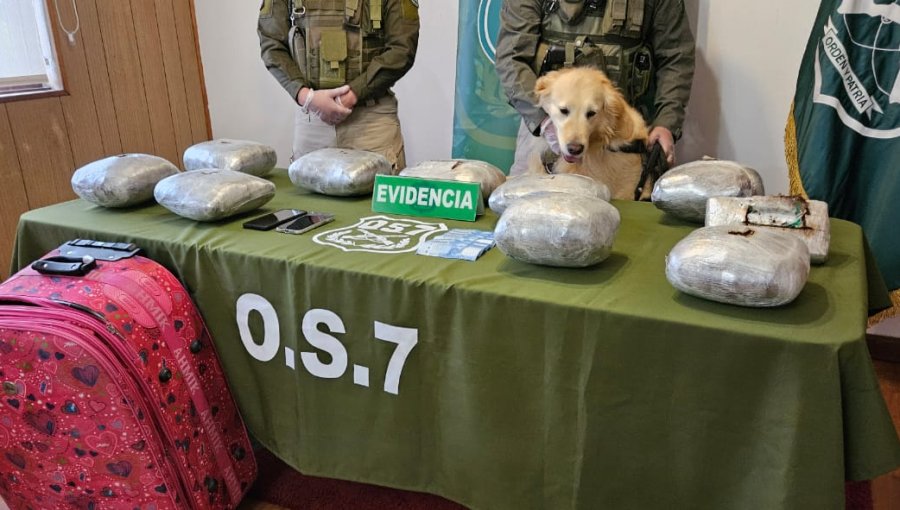 Carabineros del OS7 de Valdivia decomisó más de 13 kilos de marihuana y cocaína