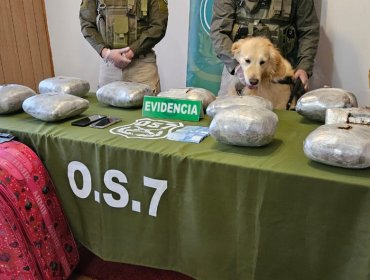 Carabineros del OS7 de Valdivia decomisó más de 13 kilos de marihuana y cocaína