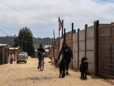 Abogado del dueño del terreno tomado en sector Lajarilla de Viña del Mar: "El martes se realiza el desalojo sí o sí"