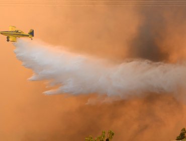 Declaran Alerta Roja para Ercilla y Victoria por incendio forestal: tránsito en la ruta 5 Sur fue suspendido