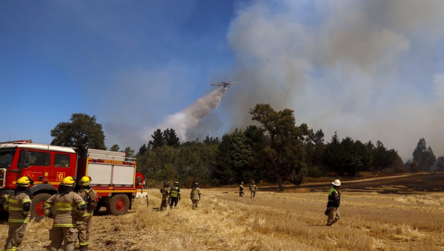 Corporación Chilena de la Madera mostró su preocupación por incendios forestales que afectaron a la Región de la Araucanía