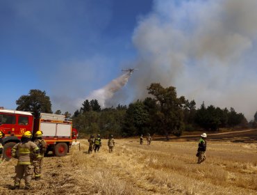 Corporación Chilena de la Madera mostró su preocupación por incendios forestales que afectaron a la Región de la Araucanía