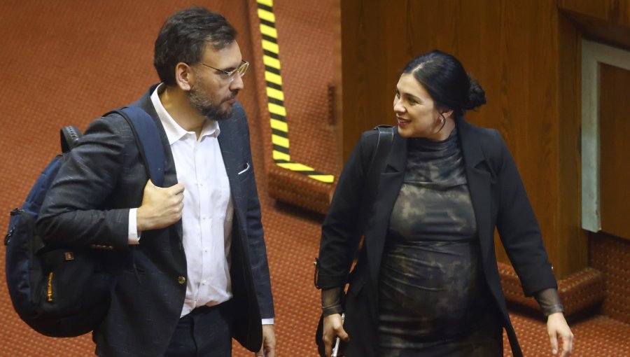 Diputado De Rementería rompe el silencio: Califica de "descriterio total" el allanamiento a Cariola el día en que se convirtieron en padres