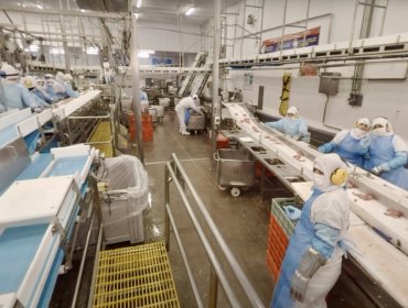Despidos masivos sacuden a Sopraval en La Calera: 180 trabajadores fueron notificados de su desvinculación de la empresa regional