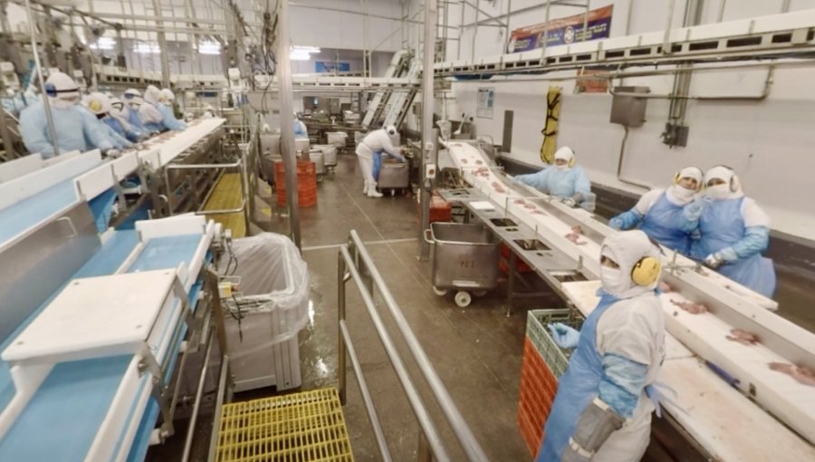 Despidos masivos sacuden a Sopraval en La Calera: 180 trabajadores fueron notificados de su desvinculación de la empresa regional