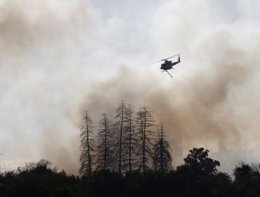 Controlan incendio forestal y cancelan la Alerta Roja para la comuna de Santo Domingo: 11 hectáreas consumidas