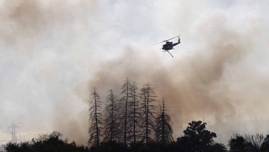 Controlan incendio forestal y cancelan la Alerta Roja para la comuna de Santo Domingo: 11 hectáreas consumidas