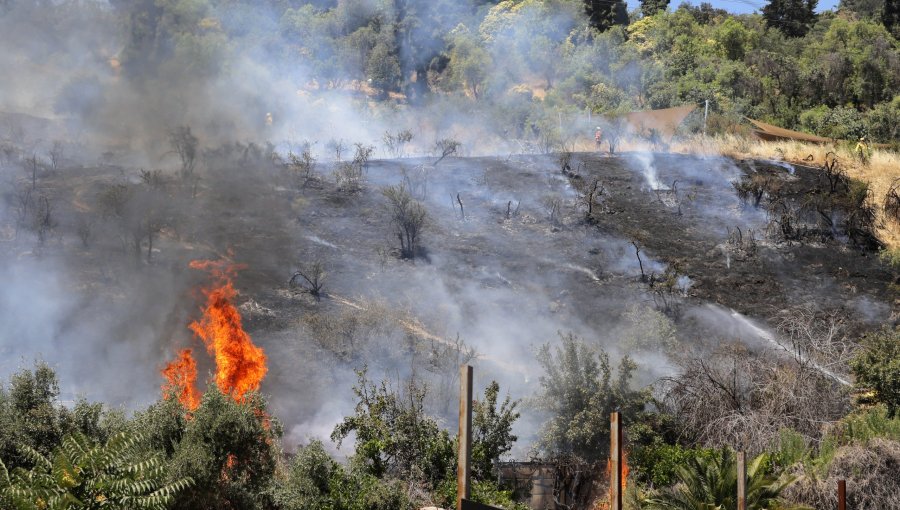 Declaran Alerta Roja para la comuna de Santo Domingo por incendio forestal cercano a sectores habitados