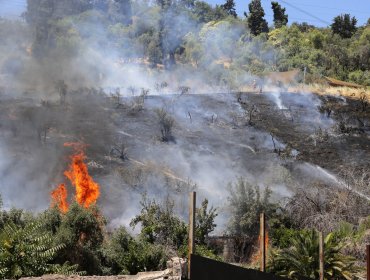 Declaran Alerta Roja para la comuna de Santo Domingo por incendio forestal cercano a sectores habitados