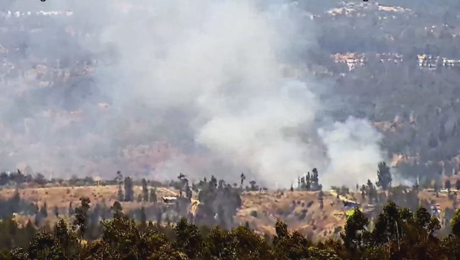 Solicitan evacuar el sector El Yali Alto en la comuna de Santo Domingo por incendio forestal