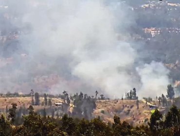 Solicitan evacuar el sector El Yali Alto en la comuna de Santo Domingo por incendio forestal