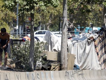 Corte de Apelaciones rechaza recurso contra el Municipio de Santiago por no adoptar medidas que eviten proliferación de rucos