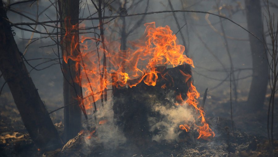 Cancelan la Alerta Temprana Preventiva para la región de Valparaíso por amenaza de incendios forestales