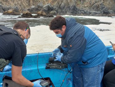 Universidad de Playa Ancha realizará monitoreo continuo de agua de mar y sedimentos en la región de Valparaíso