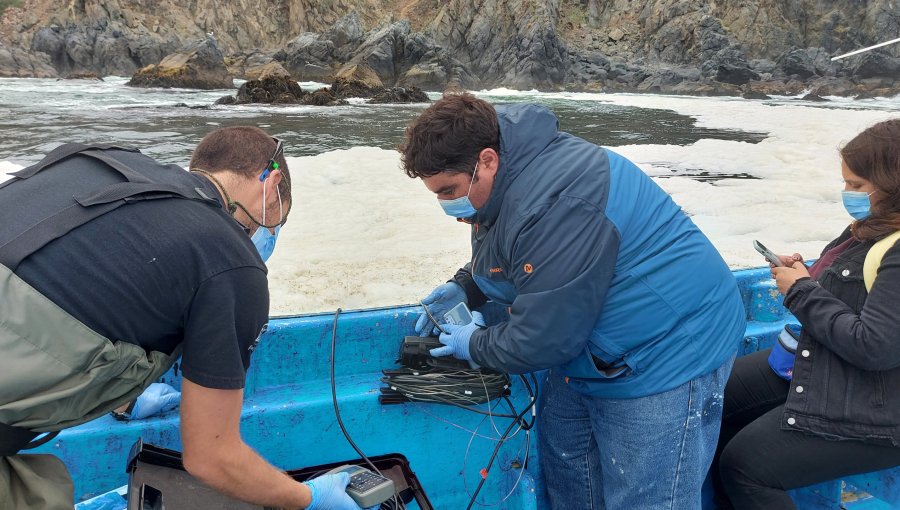Universidad de Playa Ancha realizará monitoreo continuo de agua de mar y sedimentos en la región de Valparaíso