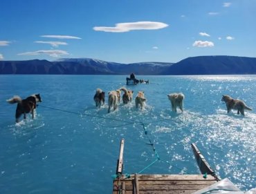 La dramática imagen de perros siberianos corriendo sobre el agua que revela el rápido deshielo de Groenlandia