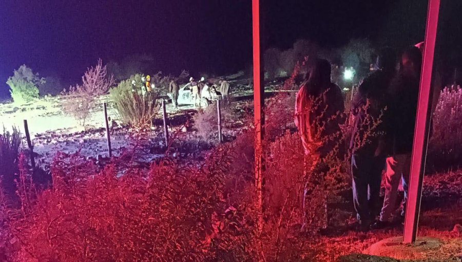 Tragedia en Cabildo: Dos personas fallecidas deja violento choque de un automóvil contra dos caballos en la carretera E-411