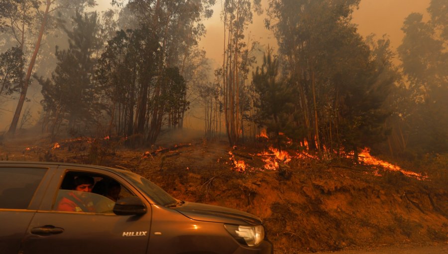 Ordenan la evacuación inmediata de 27 familias en la comuna de Los Sauces por incendio forestal