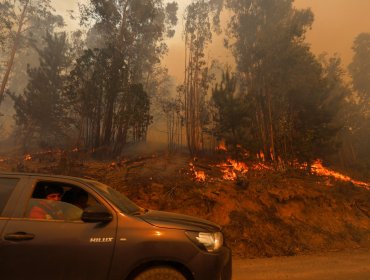 Ordenan la evacuación inmediata de 27 familias en la comuna de Los Sauces por incendio forestal