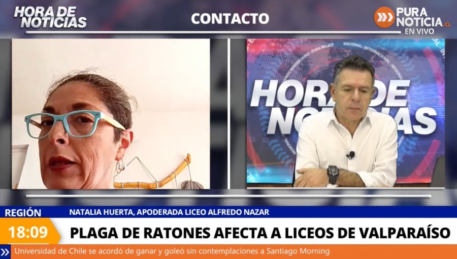 Tras más de una semana paralizado por plaga de ratones, apoderados acusan que liceo de Valparaíso aún “no se encuentra en condiciones”