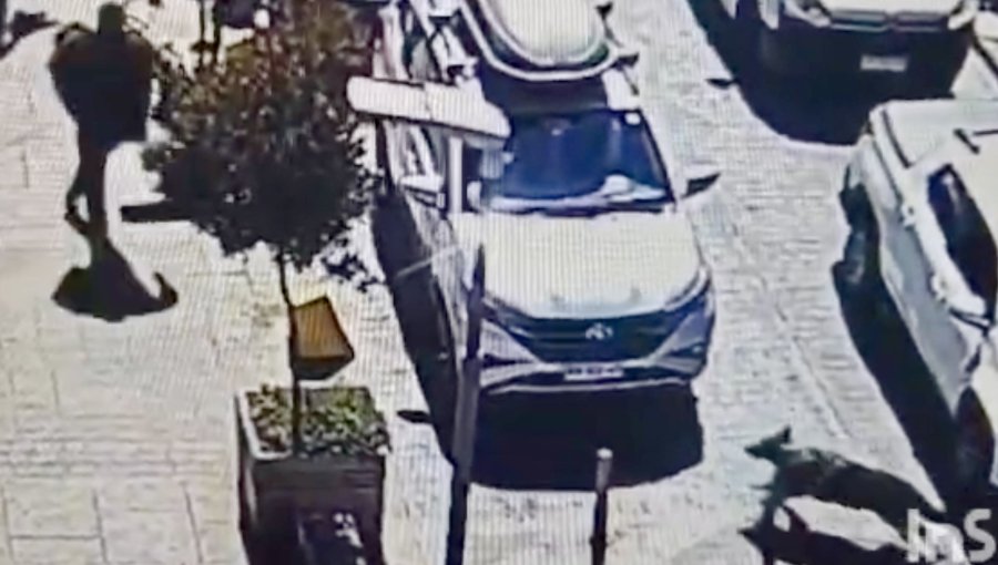 Hombre intentó escapar de fiscalización en Quillota, pero fue detenido por el can «Fiona»: mantenía dos órdenes de captura