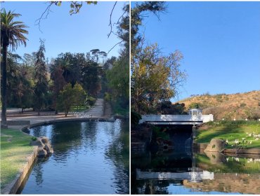 Jardín Botánico de Viña del Mar revive con especies nativas en peligro: parque registra un 60% de recuperación gracias a lluvias del 2024