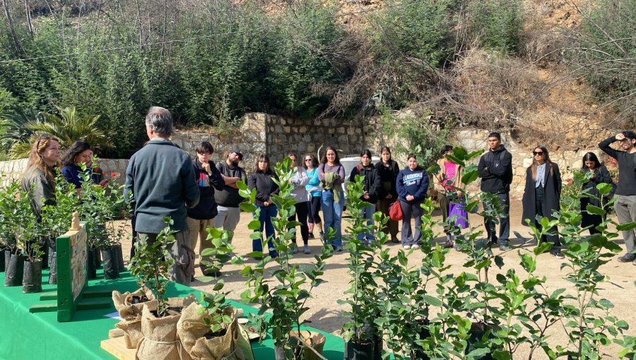 Universitarios dieron una mano en pos de la restauración del Jardín Botánico de Viña
