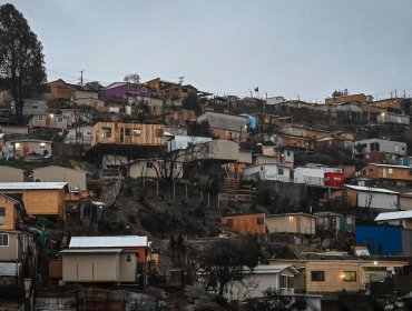 Diputado Celis pide reunión con el Presidente Boric tras informe de Contraloría que confirma reconstrucción de papel tras megaincendio