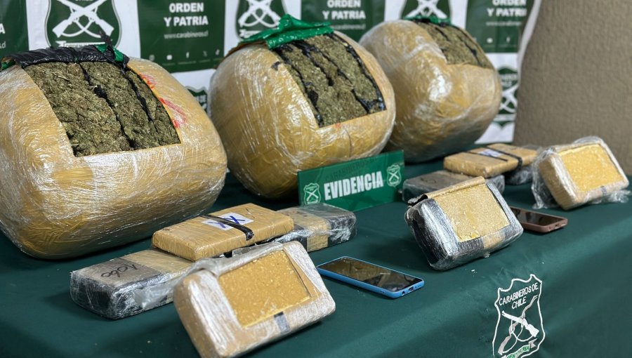 Decomisan 24 kilos de drogas durante fiscalización policial en ruta 5 Norte de Nogales