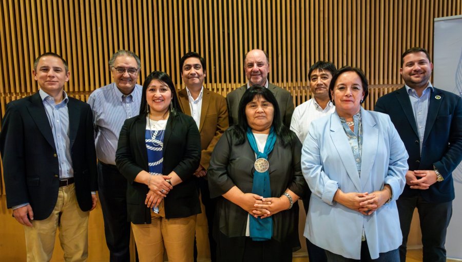 Comisión para la Paz llegó a acuerdo de mayoría de 7 a favor y 1 en contra