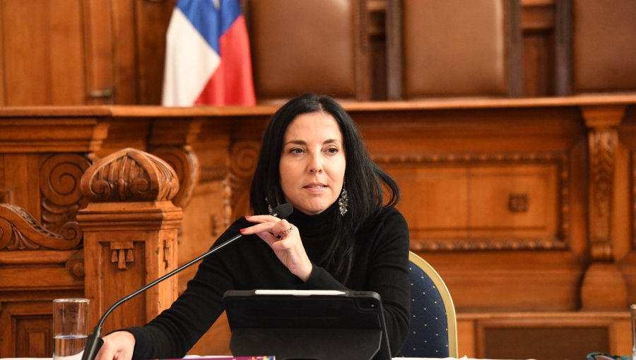 Violento asalto a exministra de Justicia y actual jueza de la Corte Interamericana en Santiago