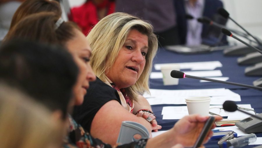 Diputada Gloria Naveillán acusa “traición” tras aprobación sin unanimidad de Comisión por la Paz