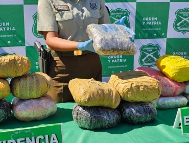 Fiscalía y Carabineros en alerta por seguidilla de grandes incautaciones de drogas en la región de Antofagasta