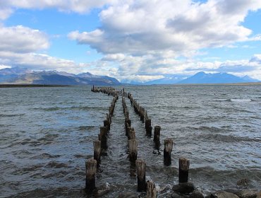 Senapred declara Alerta Roja en la región de Magallanes y la Antártica Chilena por tsunami