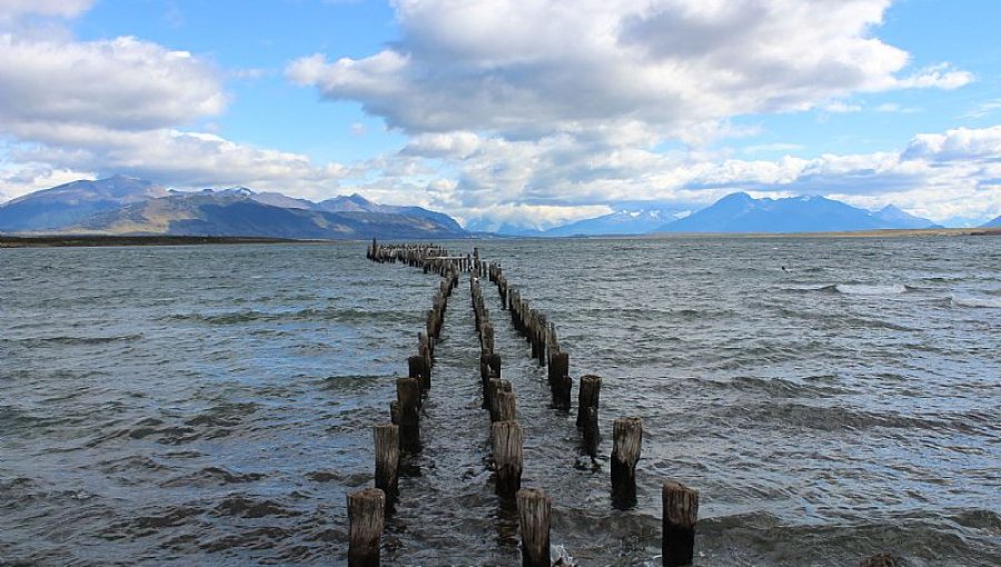 Senapred declara Alerta Roja en la región de Magallanes y la Antártica Chilena por tsunami