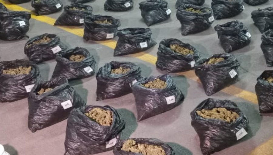Incautan más de 110 kilos de marihuana desde el estacionamiento de un edificio en Santiago